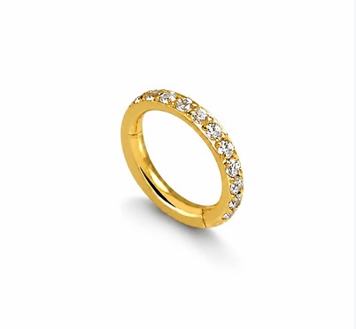 TESTE argola